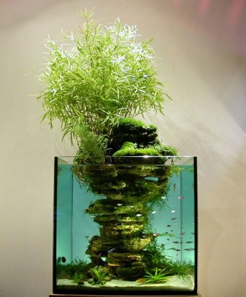 aquarium gardens for fishes 9